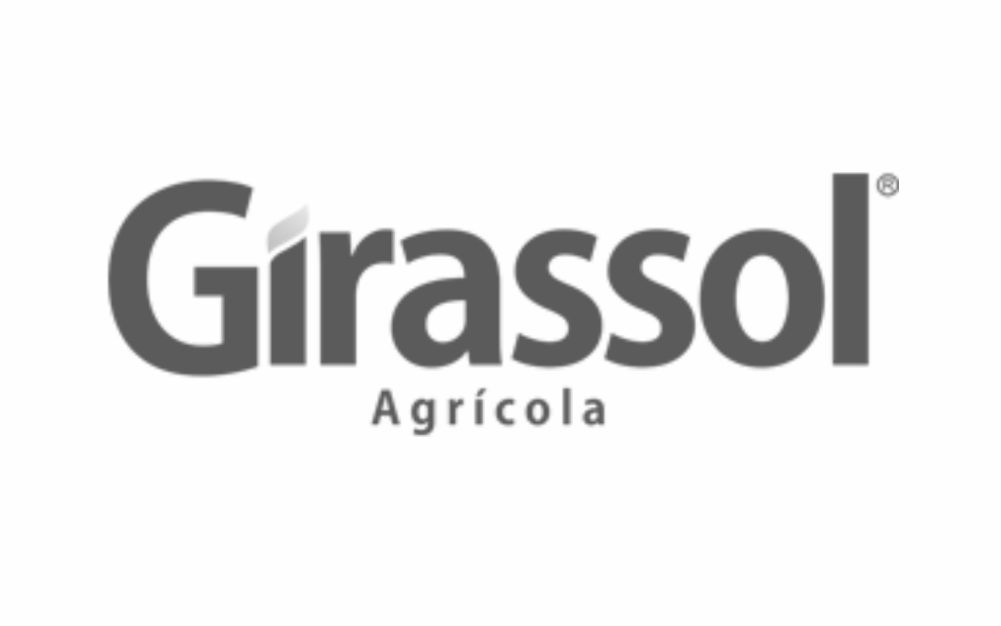 girassol-agricola